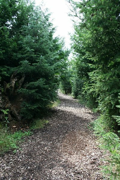 Amerikanische Wälder - Lehrpfad der Stadt Leipzig by bernstein-aic