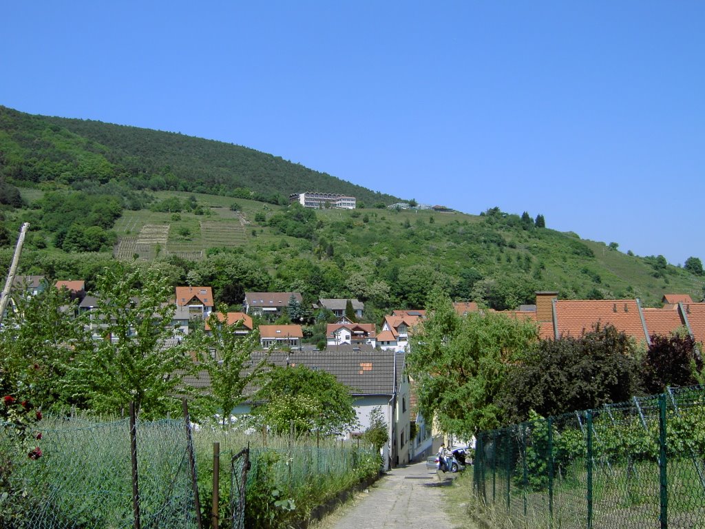 Kreuzweg/Blick auf das "Haus am Weinberg" by Bianca88