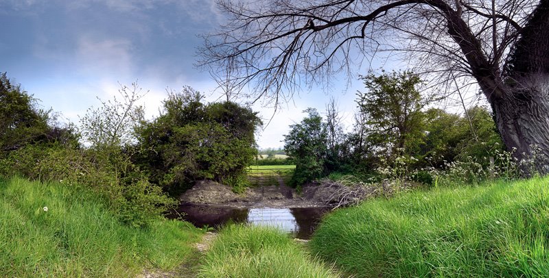 Crediton, River Culvery (Black Poplar) by andrewhead