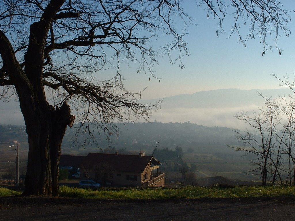 Chazay dans la brume by Alain CORNU