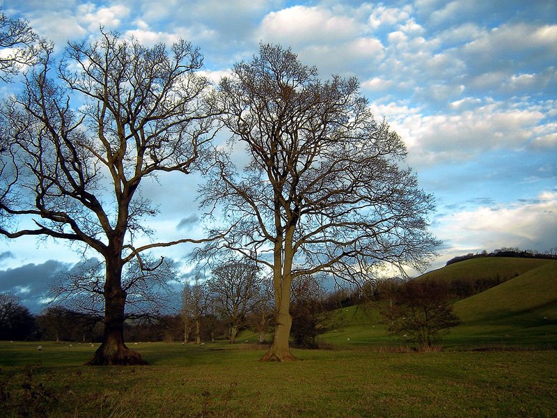 Crediton, Lower Living by andrewhead