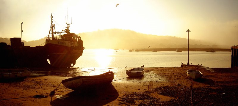 Teignmouth, boats by andrewhead