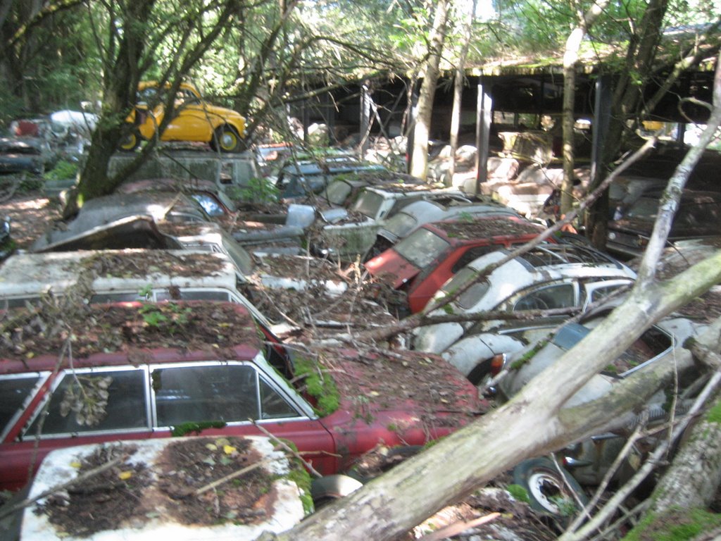 Historischer Autofriedhof Gürbetal Kaufdorf by ericpano