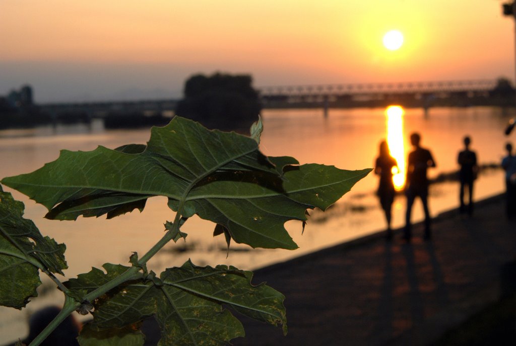 Sava u predvecerje by I.Galovic