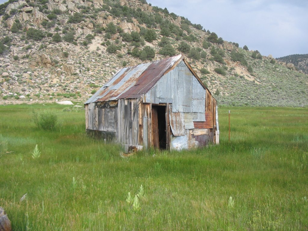 Little House in the Praire by borishedgehog