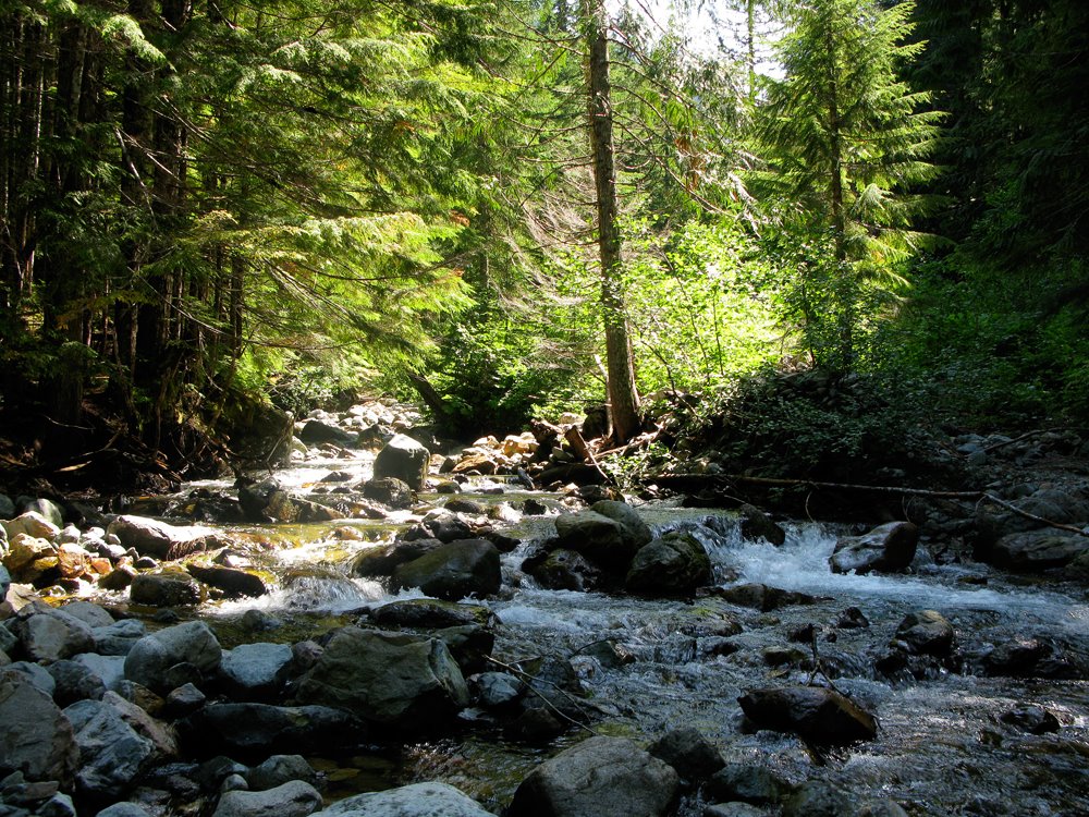 Seventysix Creek by Jason Grube