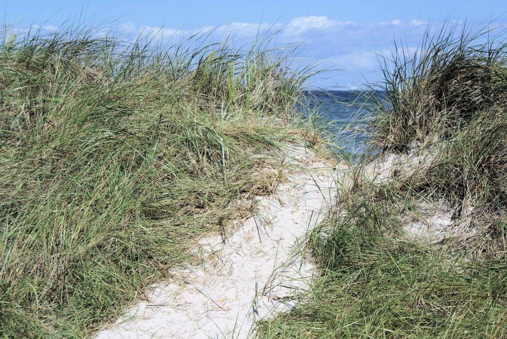 Kalifornien - Ostsee by W. Lueg