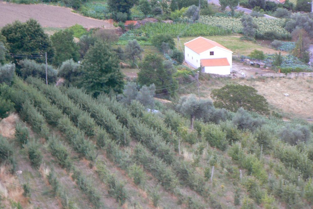 View from restaurant "Serra Alta?" by Johan__