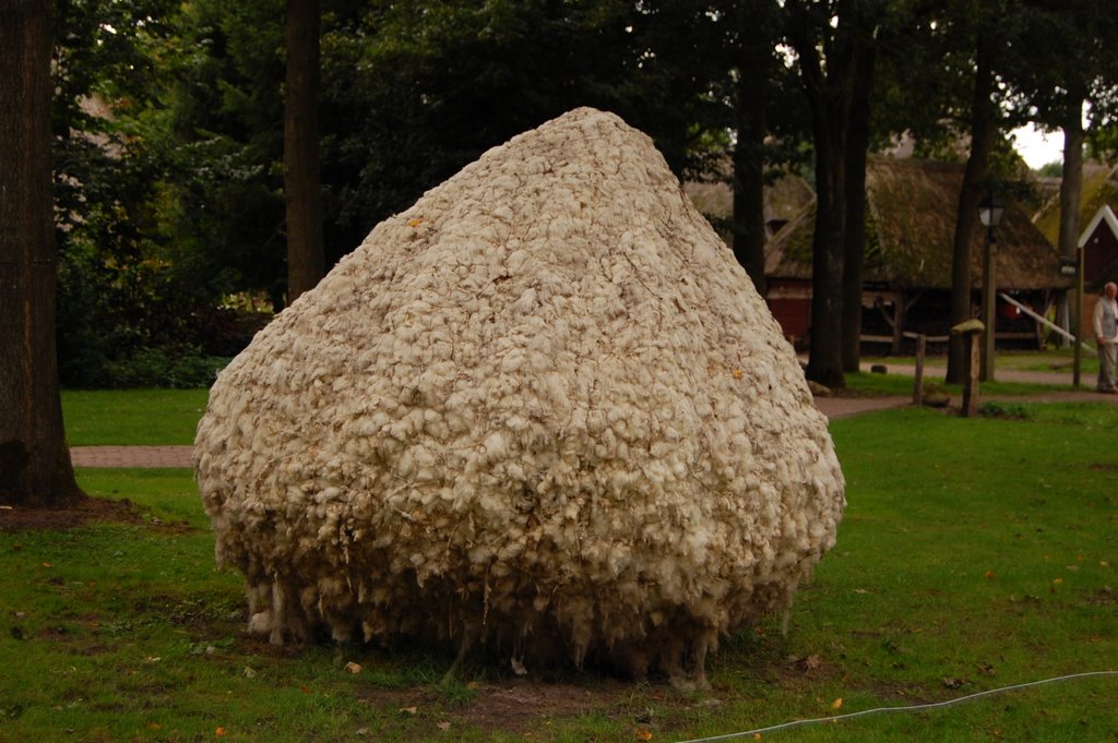 Sheep fur out to dry by Nico Huising