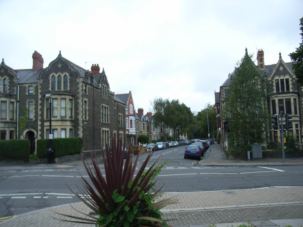 Teilo Street, Pontcanna by DRTJones