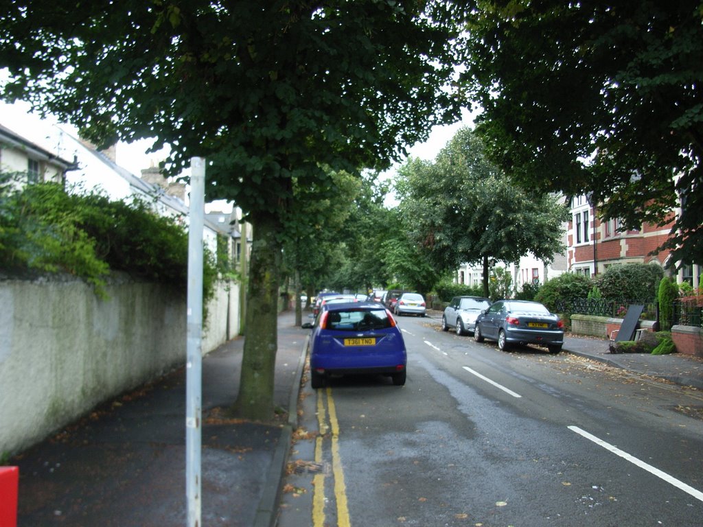 Conway Street, Pontcanna by DRTJones