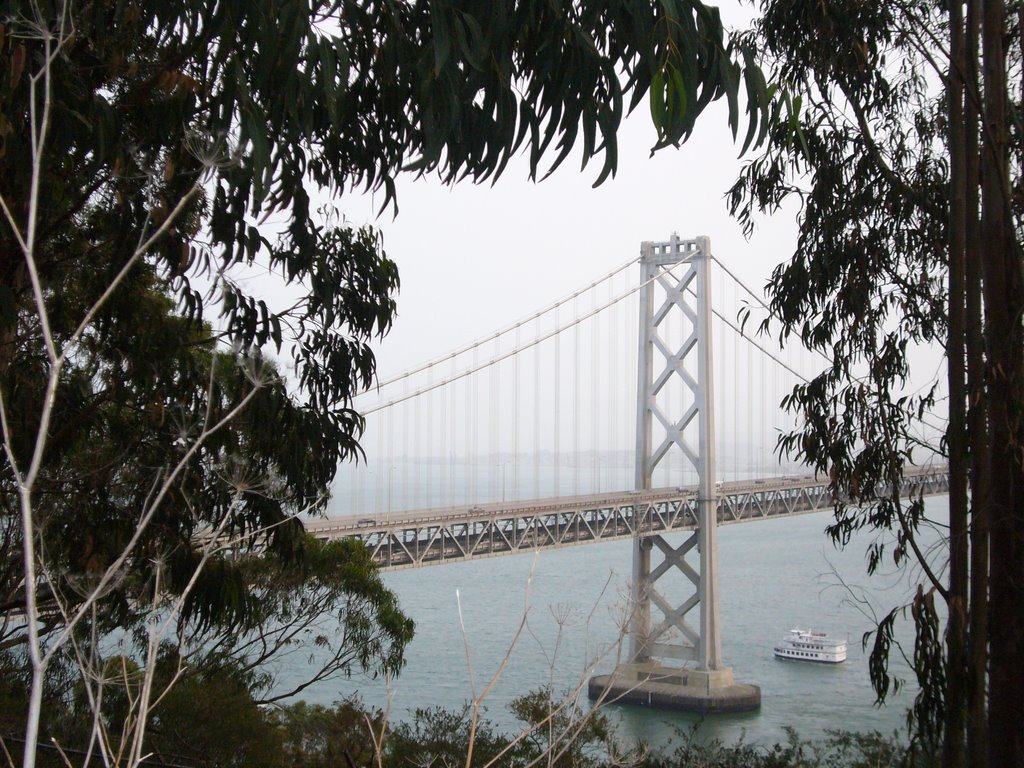 Bay Bridge From Yerba Buena by zendritic