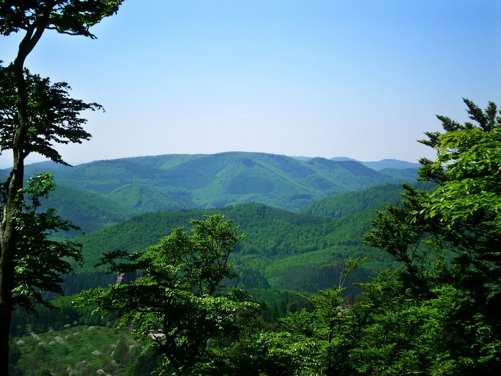 Vue du Loewenstein by Donceuh