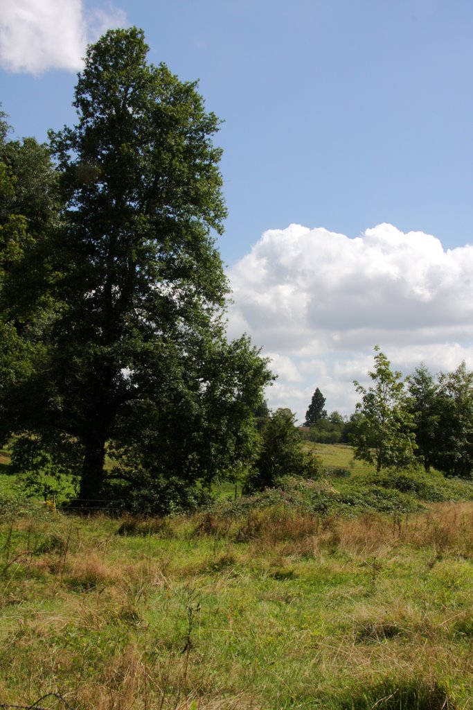 Couzeix : le site prés de Gorceix by macrobert