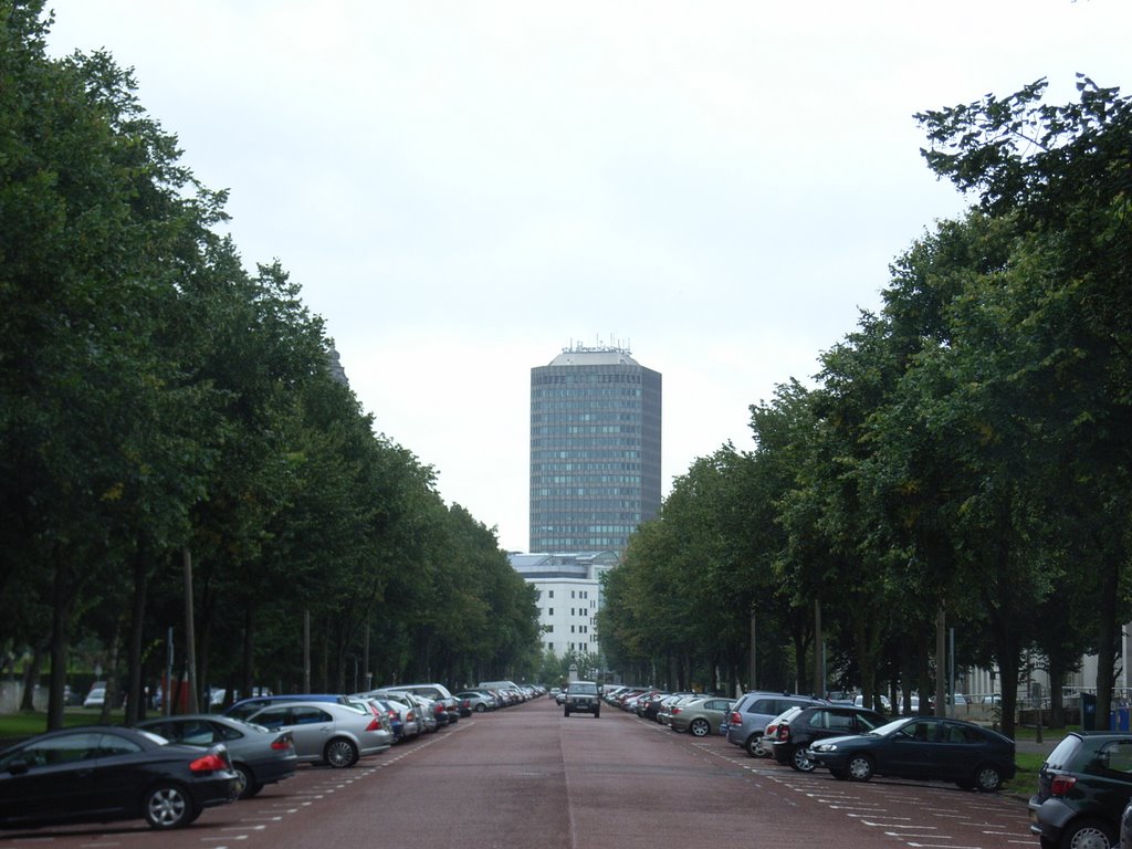 King Edward VII Avenue with Capital Tower in the background by DRTJones