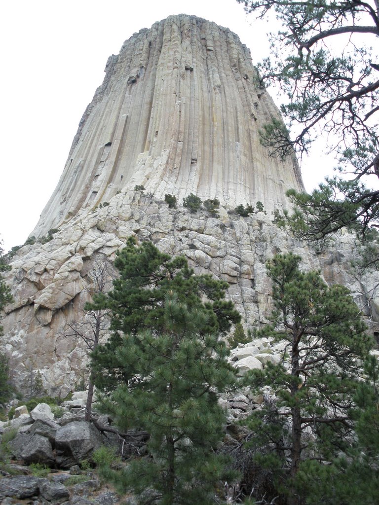 Devil's Tower by andy.berget