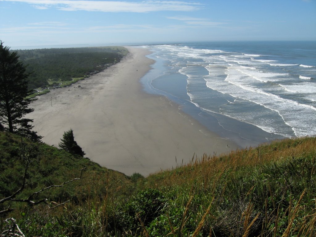 Cape Disappointment Beach from North Head by Chris Sanfino