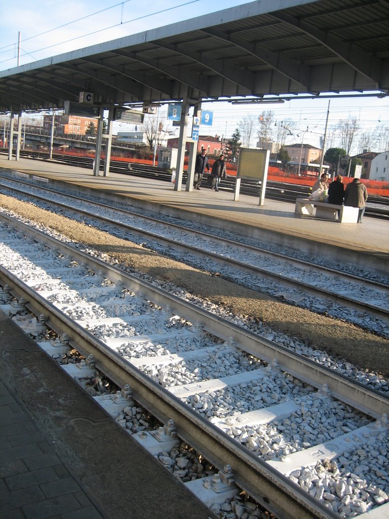 Treviso, Italy -Blue & White Train Station by oloran