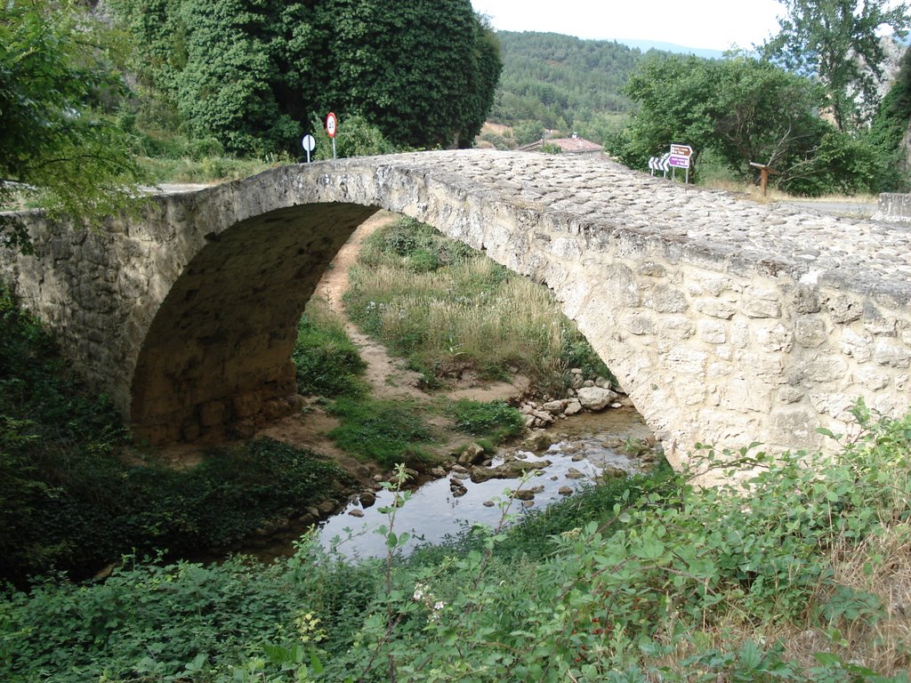 Puente de Tobera by edualcalde86