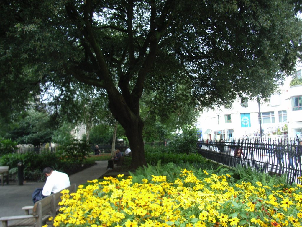 Gardens behind the Old Library by DRTJones