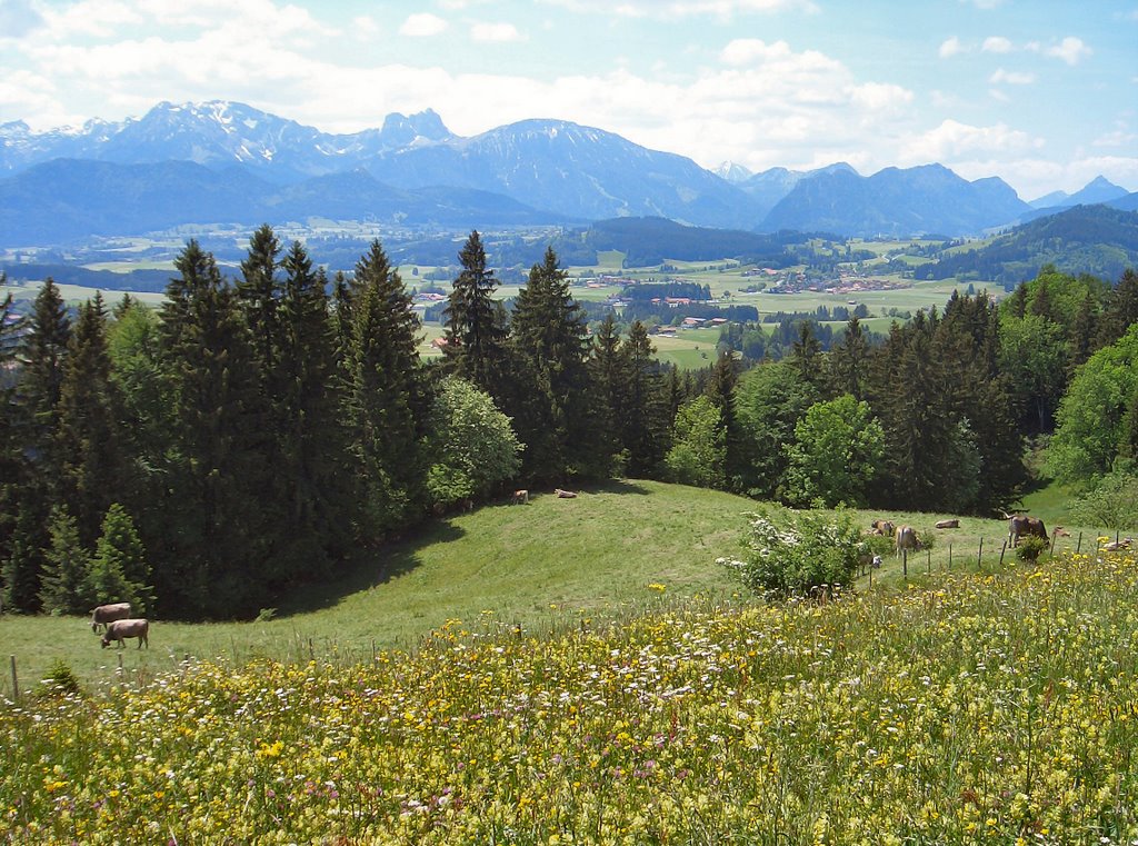 Blick vom Beichelstein by Peter G. Ott