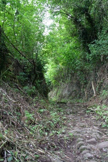 Caminos de Cezana,Asturias by Pedro Francisco