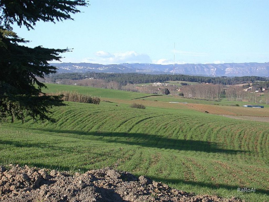 Gallecs verd. Mollet del Vallès by RaRoAl