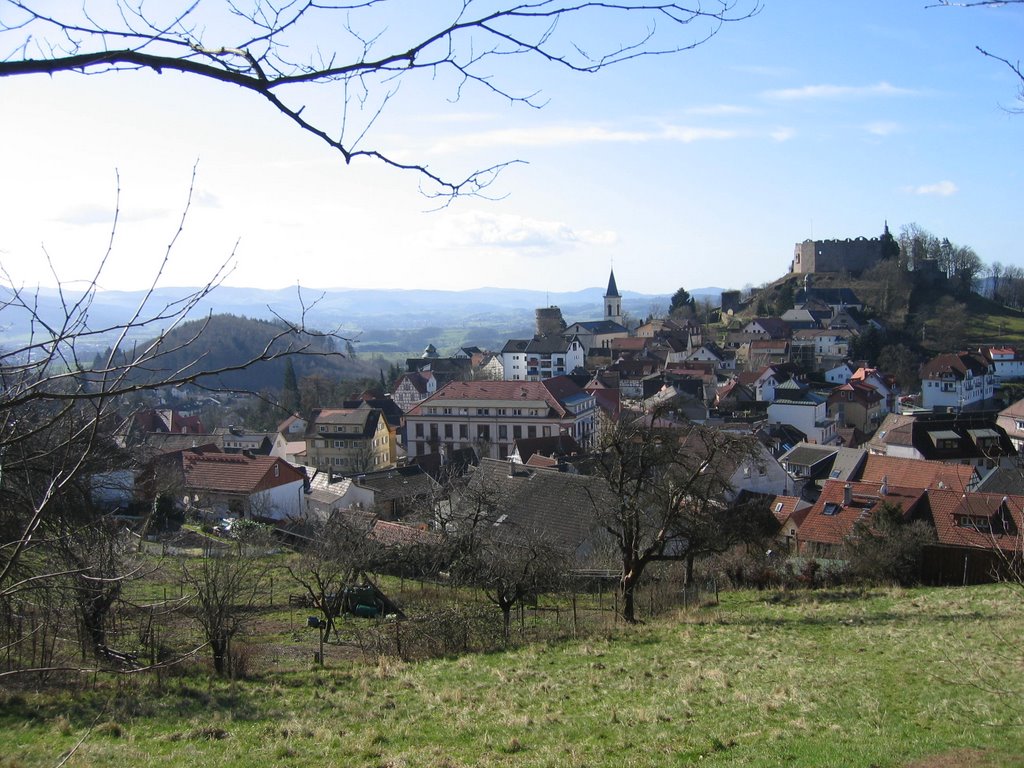 Blick auf Lindenfels by Wulf24