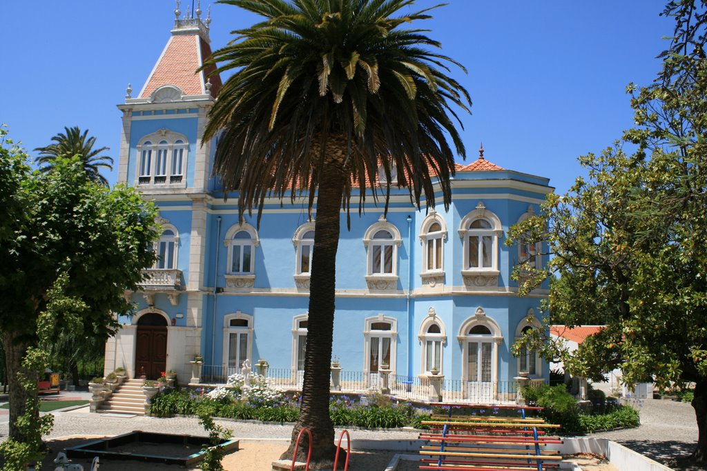 Alcobaça (Portugal) - Ecole de la rue Dom Pedro V by pierre basson