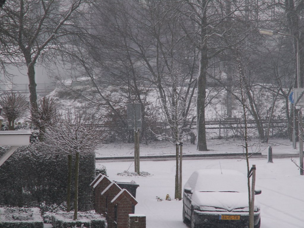 Spoorlaan Oss, during winter by Tommy van Erp