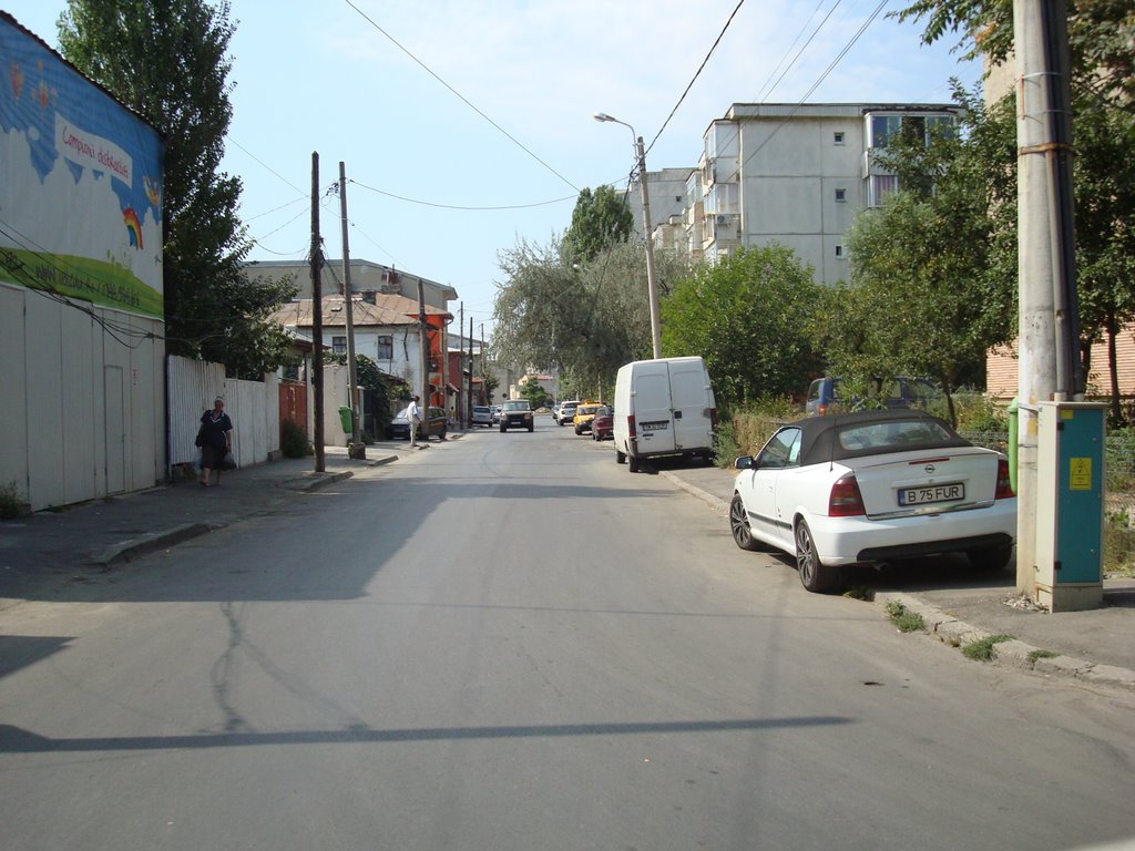 Str. Popa Stoica din Farcaş by eug.sim