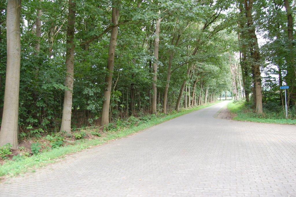 De Slingeweg by M.F. Naaldenberg