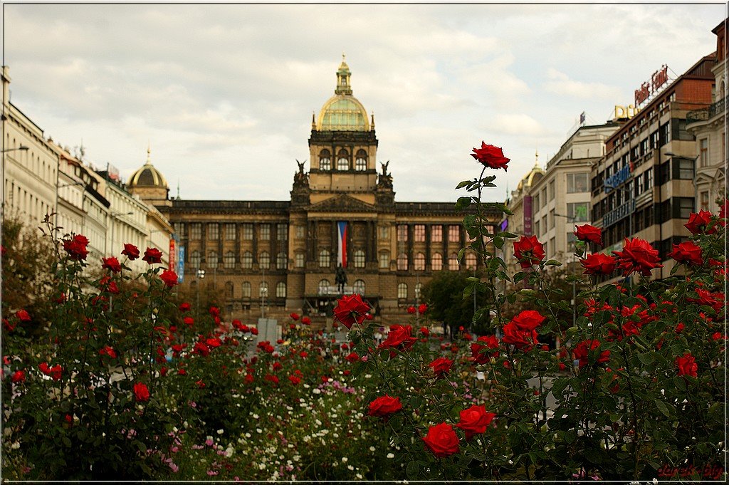 Praha - Muzeum Narodowe by darek-big