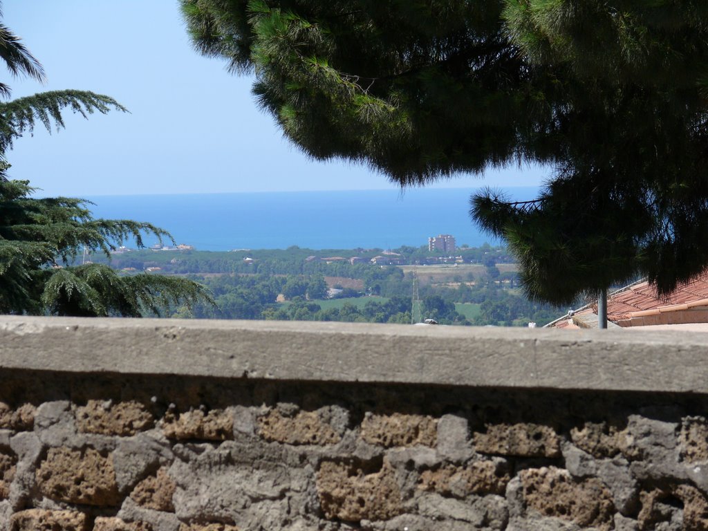 01016 Tarquinia, Province of Viterbo, Italy by Irene Corazzesi