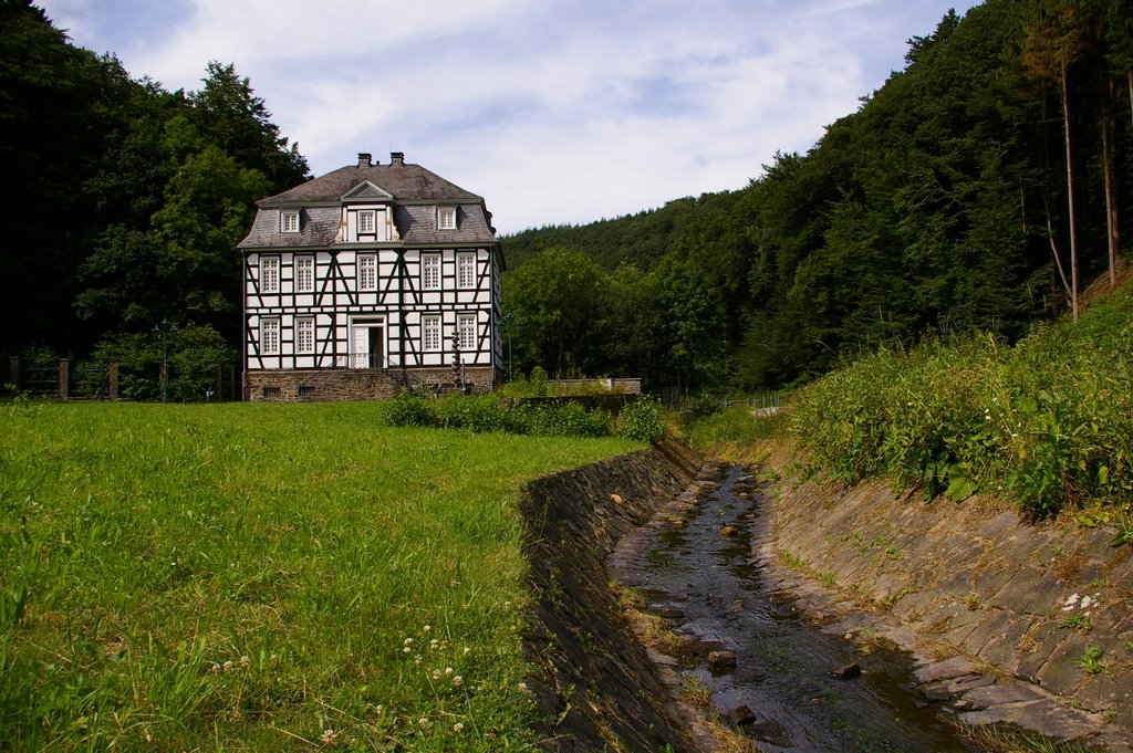 Neunkirchener Amtshaus [2008] by Soony