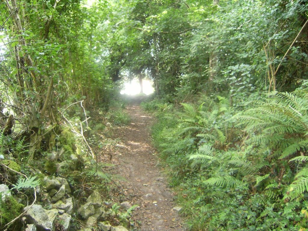 Camino de Santiago by JGS