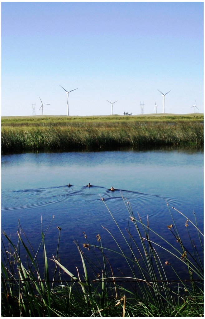 Tatanka windfarm, sd by d@ve!