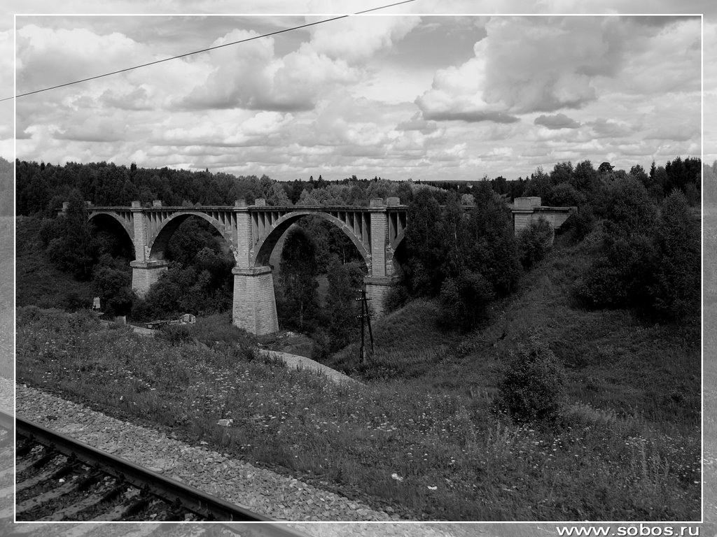 E3270027_Zabroshenny_viaduk_u_Bartyma__Abandoned_Viaduct_at_Bartym.jpg by www.sobos.ru