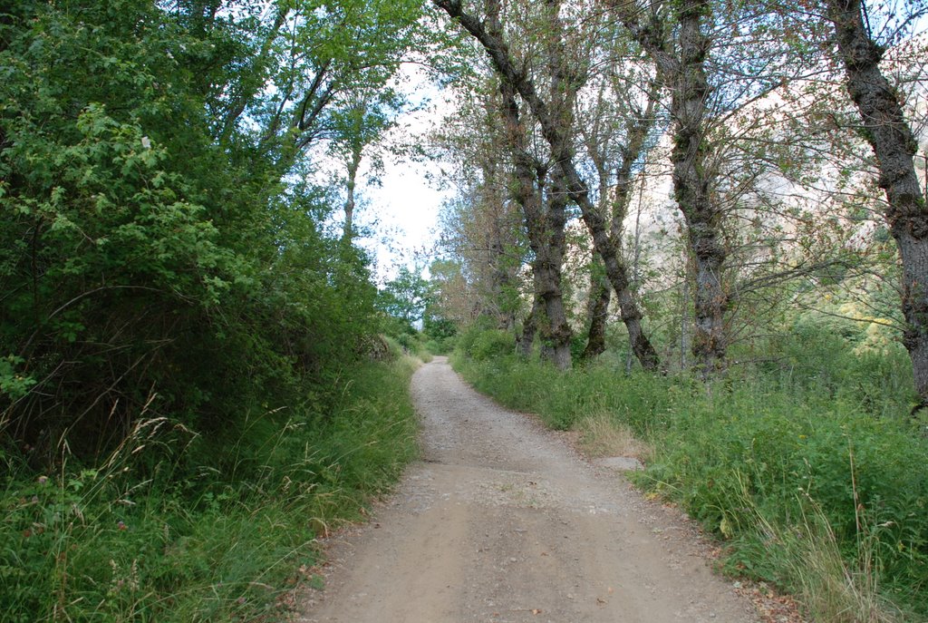 363.Camino de Ocejo a Ferreras 045 by jluismreyero