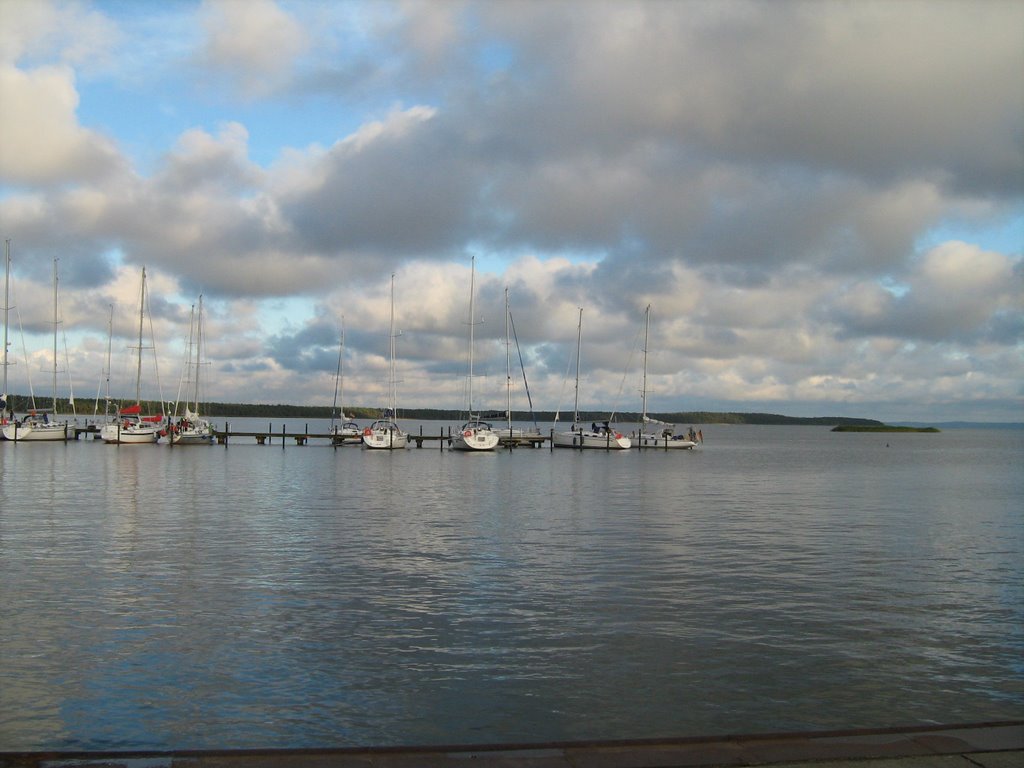 Blick auf den Breeger Bodden by giselmund