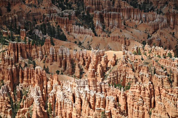 Bryce Canyon by Littleplanet