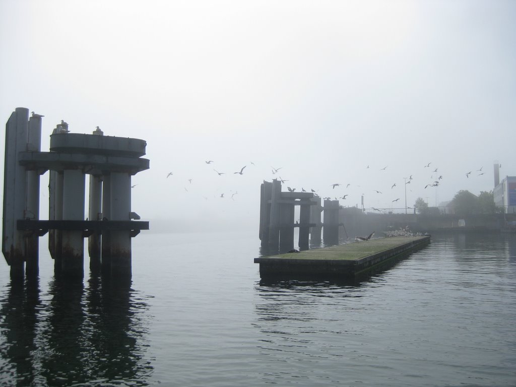 Nebel im Yachthafen Warnemünde by Restaurant "Zum Bäck…