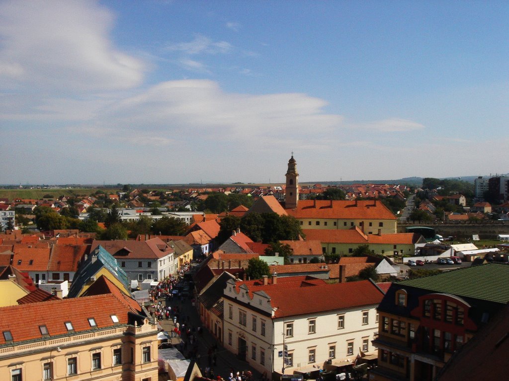 Výhlad na mesto Skalica (7) by bulk