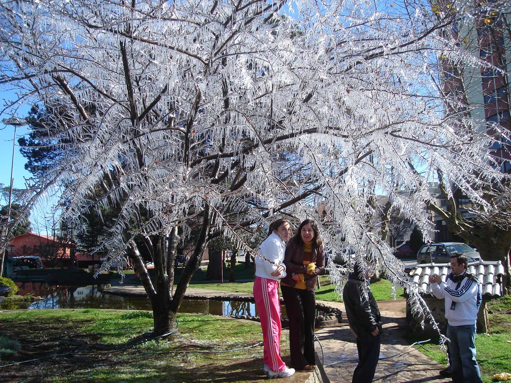 Praça congelada - Geada (-4C), São Joaquim by Sergio Luiz Zampieri