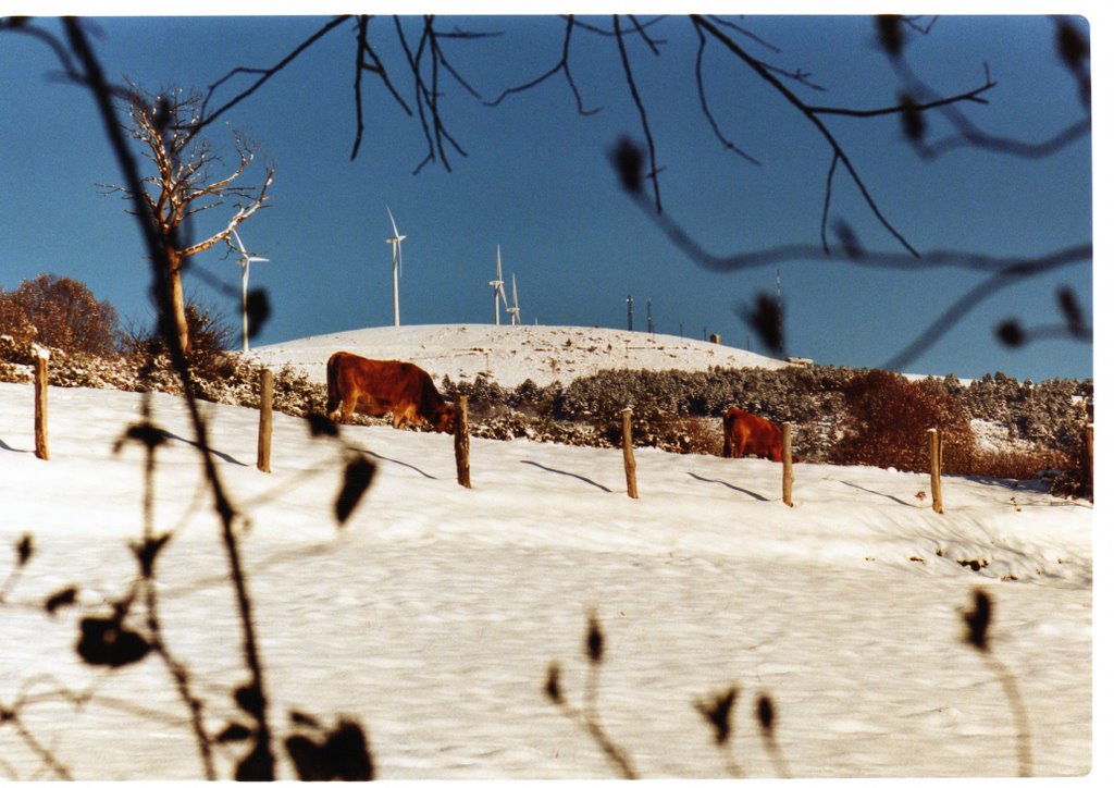 Penouta nevado - Boal by Patxi & Bego