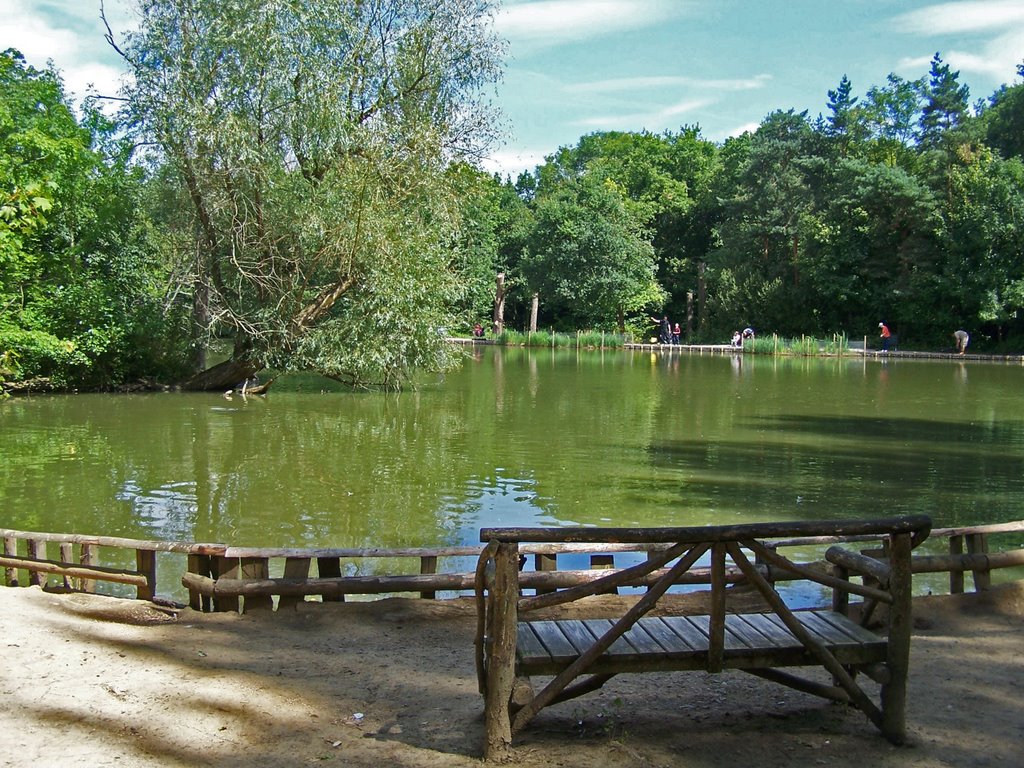 Brokerswood country park by Juliet Cullen