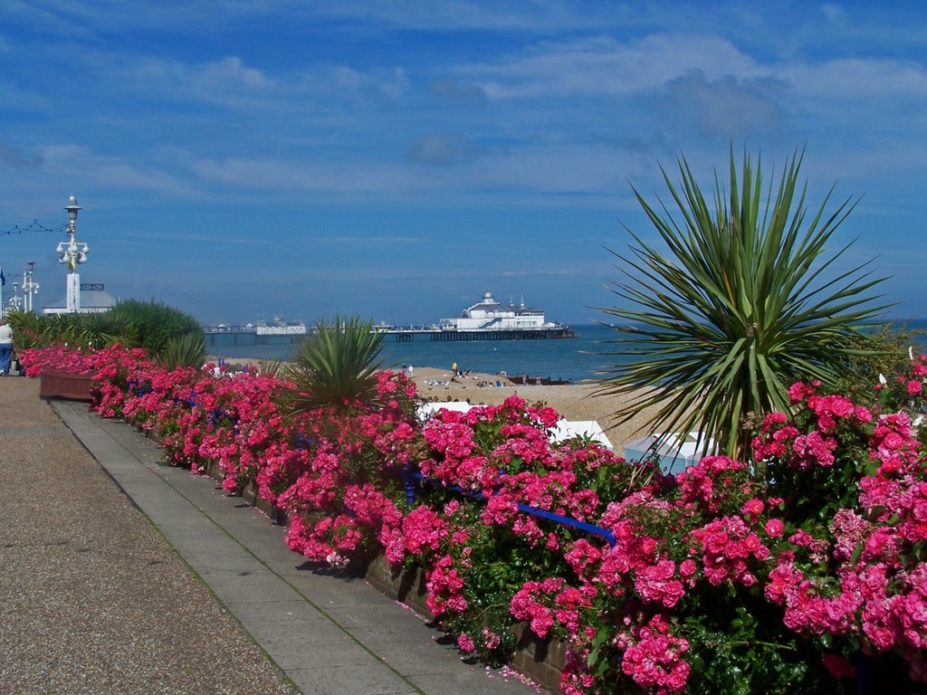 Eastbourne Promenade by Juliet Cullen