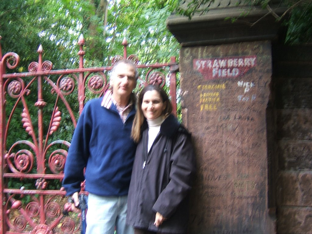 Strawberry Fields by Michel Manevich