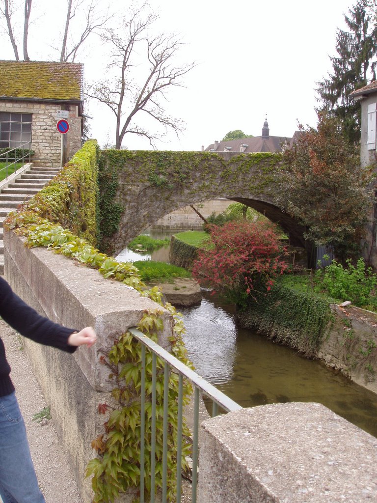 Petit pont de pierres by cococ des champs