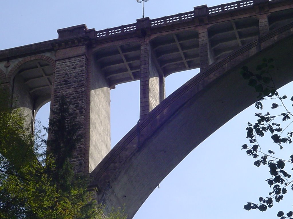 Ponte di Roana, spalla sinistra (particolare) by © daks70